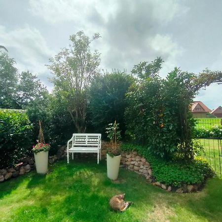 Luana'S White Cottage Surwold Buitenkant foto